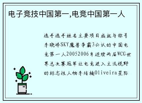 电子竞技中国第一,电竞中国第一人